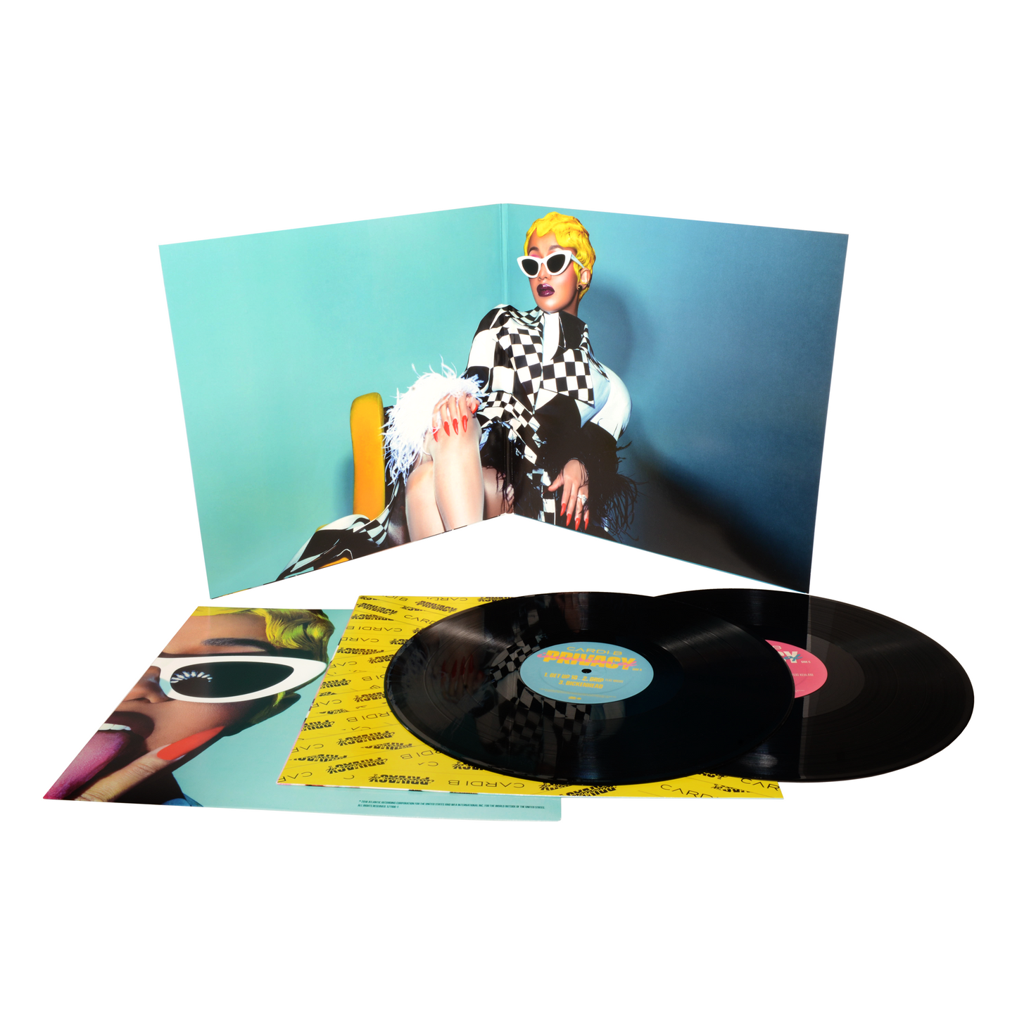 Invasion of Privacy (Vinyl 2xLP)
